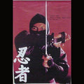 Martial Arts Gear 20x30" Ninja Galactic Eyes Poster