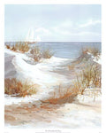 Dune Path by Jacqueline Penney - 32 x 26 inches - Fine Art Print / Poster