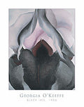 Black Iris 1906 - Poster by Georgia O'Keeffe (25 x 32)