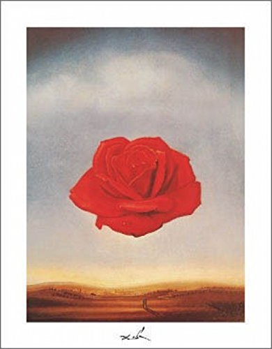 Meditative Rose Poster Print by Salvador Dali (11 x 14)