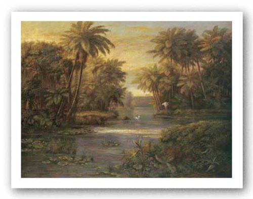 Lagoon At Daybreak by Montoya 28"x22" Art Print Poster