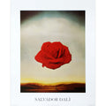 Bruce Teleky Meditative Rose by Salvador Dali. Fine Art Print Poster 16 x 20