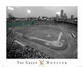Anonymous the Green Monster: Fenway Park 20 x 16 Poster Print