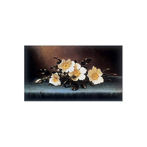SMART ART - 'Four Cherokee Roses ' by Martin Johnson Heade - Fine Art Print 36x24 inches