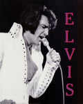 Elvis Presley In Concert, Hawaii, 1970 - Poster (16 x 20)