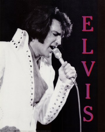 Elvis Presley In Concert, Hawaii, 1970 - Poster (16 x 20)
