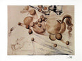 artworkforless.com Transparent Horse by Salvador Dali - 25 x 32 inches - Fine Art Print/Poster