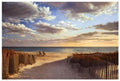 Sunset Beach Art Print Poster By: Daniel Pollera