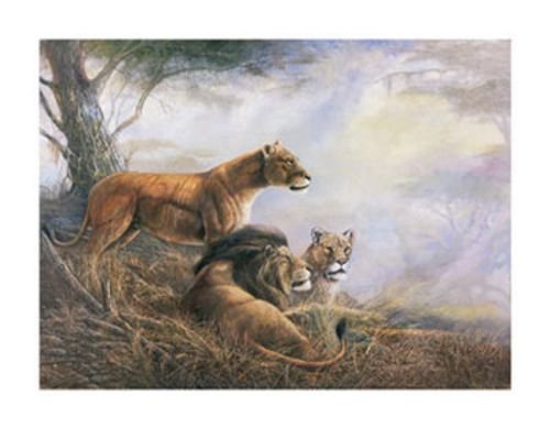 Forbidden Territory by Ruane Manning 22"x28" Art Print Poster